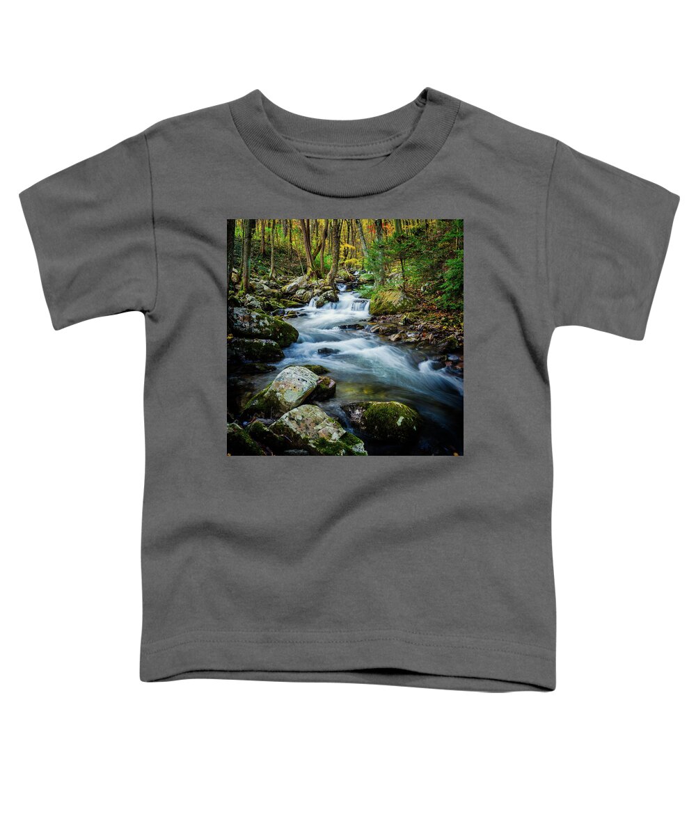 Landscape Toddler T-Shirt featuring the photograph Mill Creek in Fall #3 by Joe Shrader