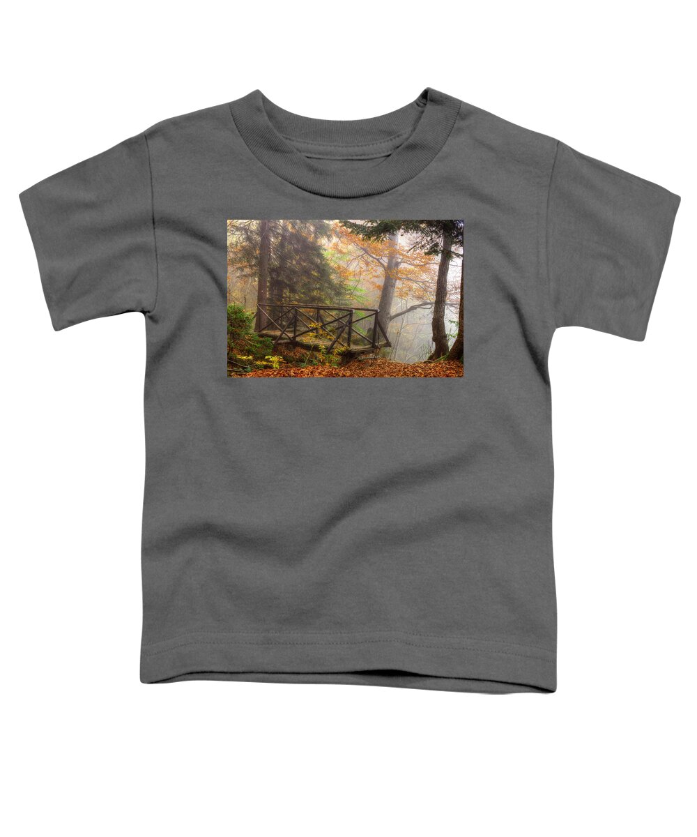 Autumn Toddler T-Shirt featuring the photograph Misty forest by Ivan Slosar