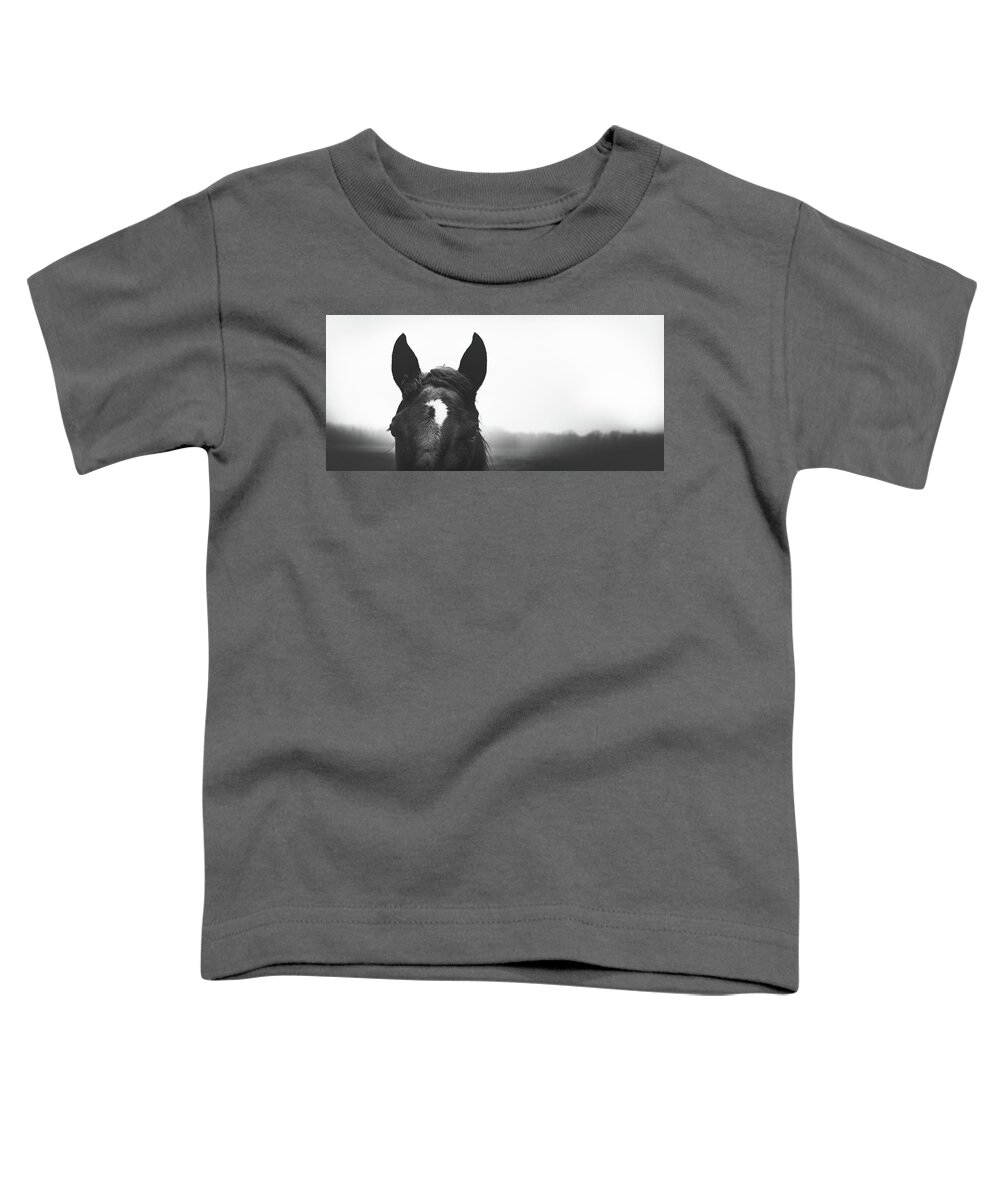 Horse Toddler T-Shirt featuring the photograph Misty Morning by Shane Holsclaw