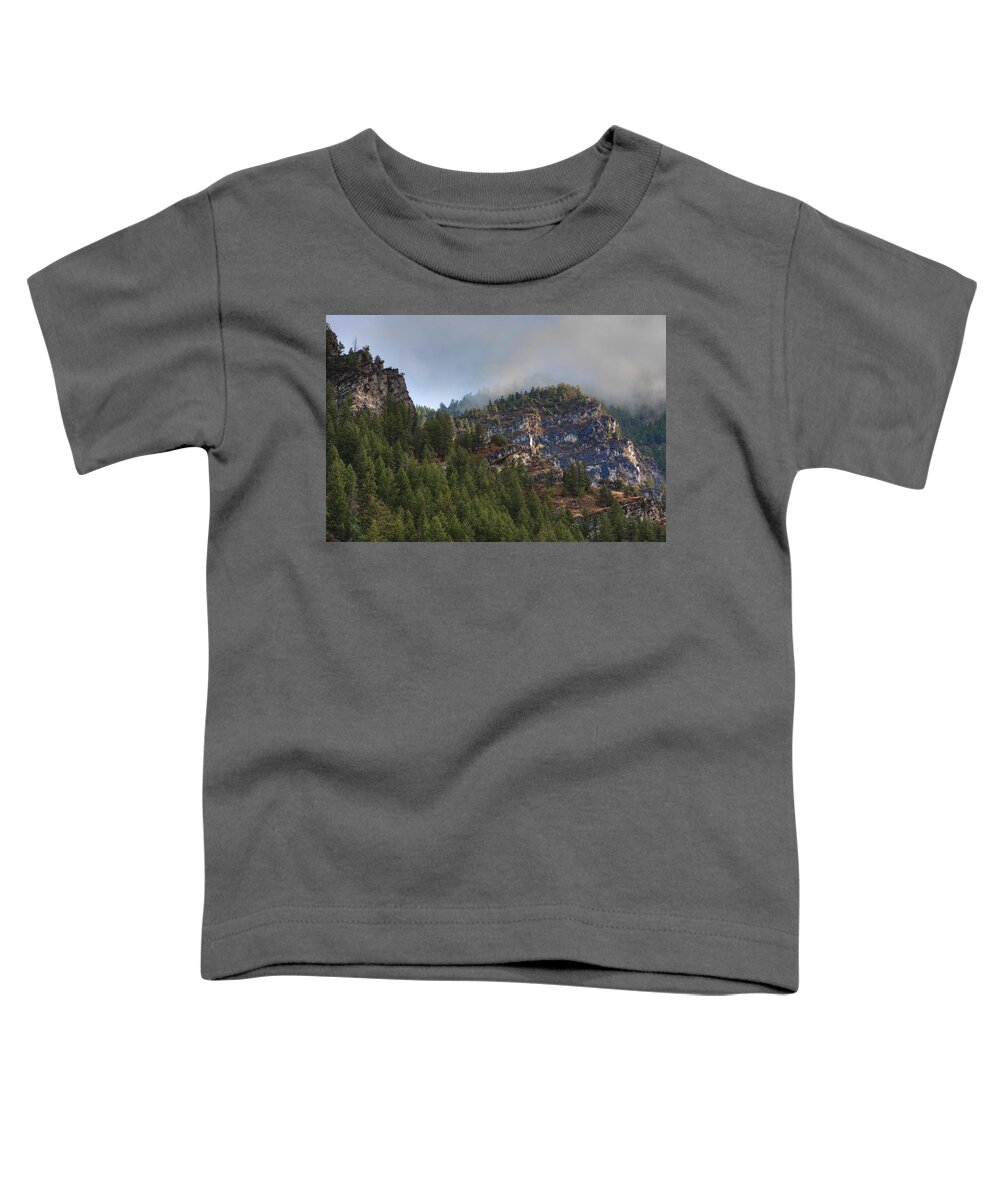 Canyon Toddler T-Shirt featuring the photograph Misty Ridge by David Andersen