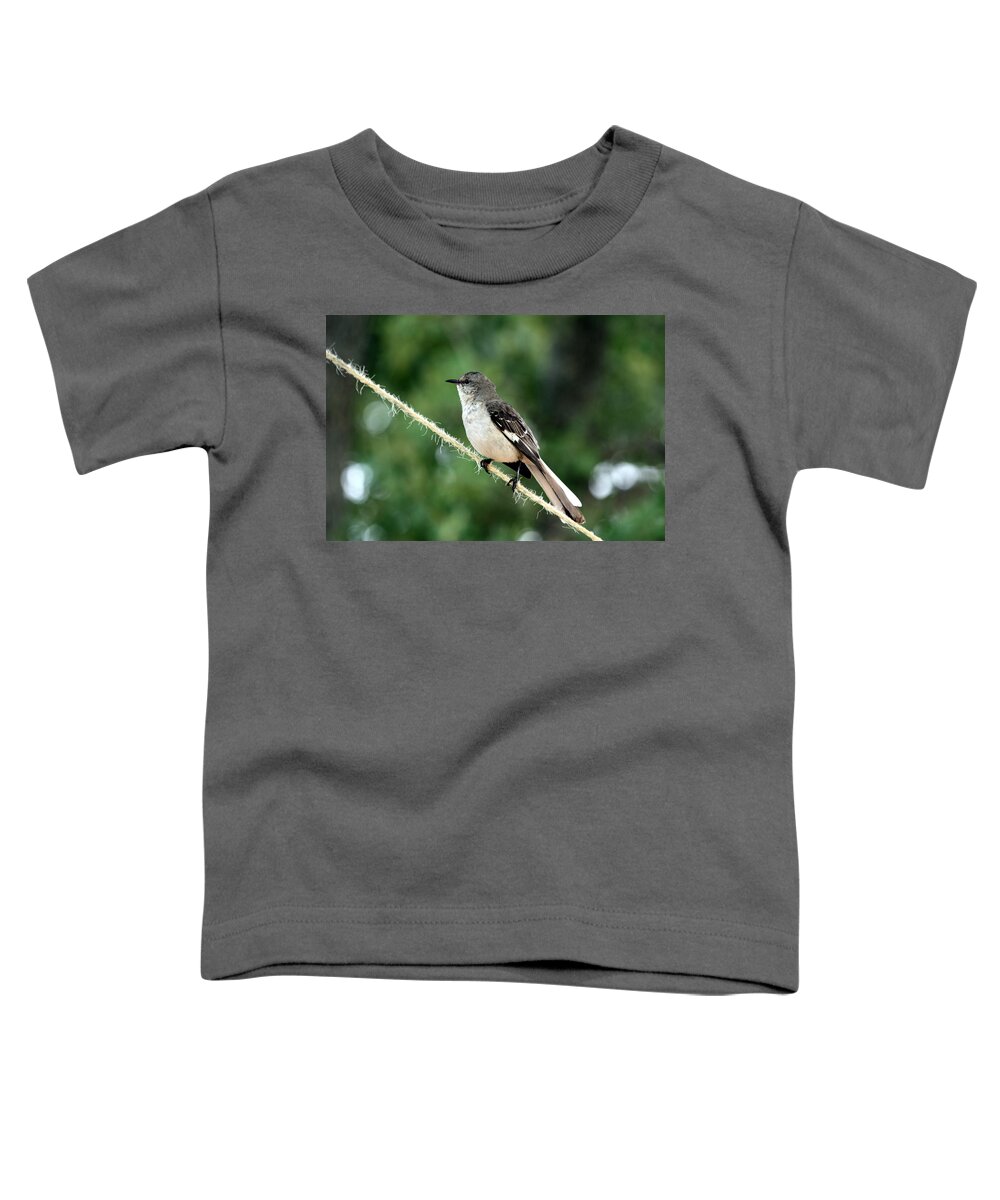 Nature Toddler T-Shirt featuring the photograph Mockingbird on Rope by Sheila Brown