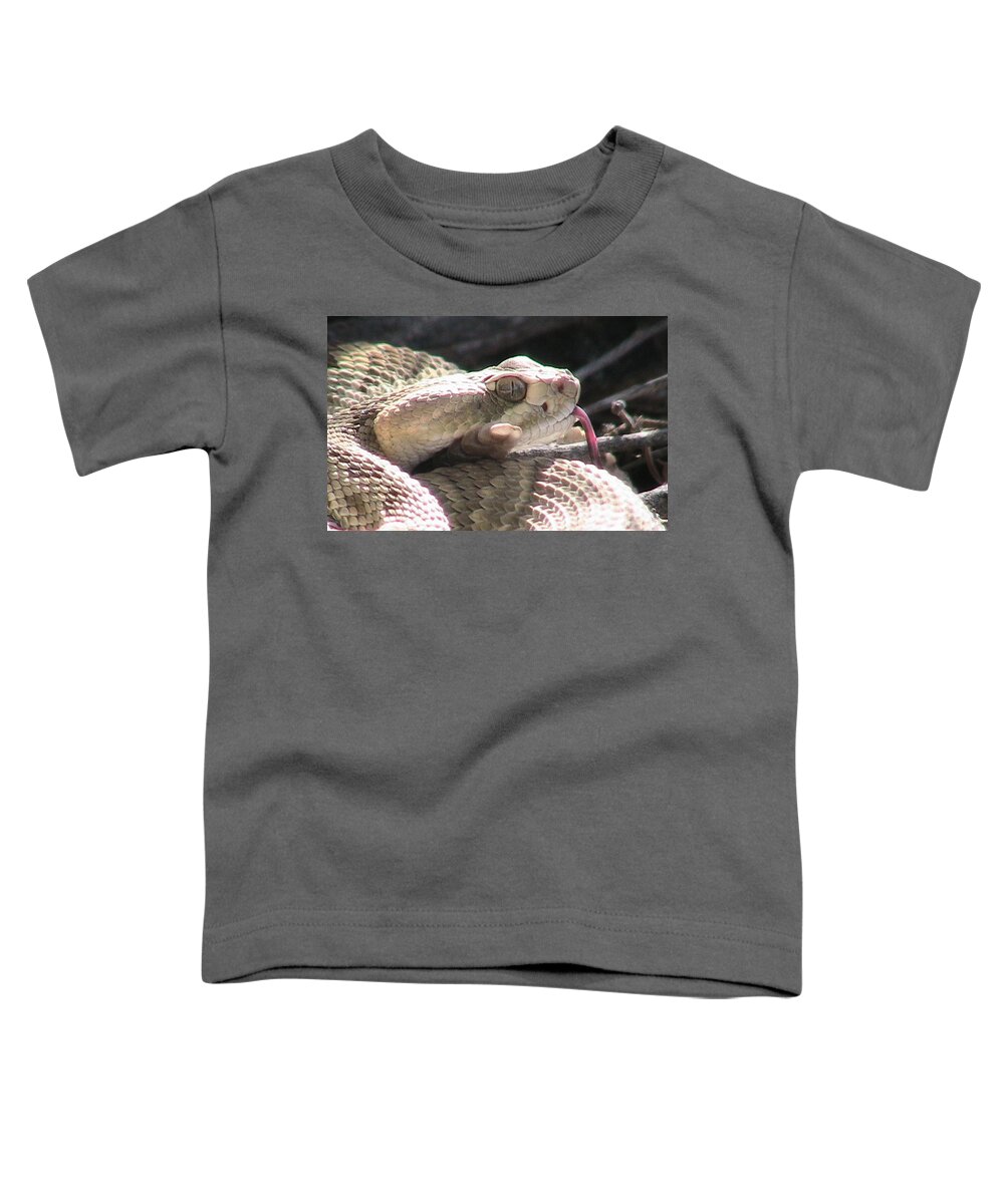 Coiled Toddler T-Shirt featuring the photograph Mojave Rattlesnake 4 by Judy Kennedy