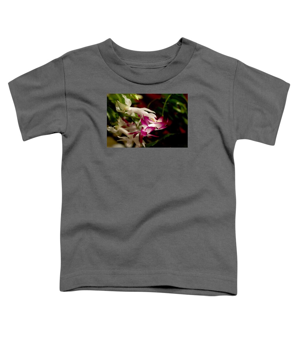 Christmas Cactus Toddler T-Shirt featuring the photograph Momma's Christmas Cactus by M Three Photos
