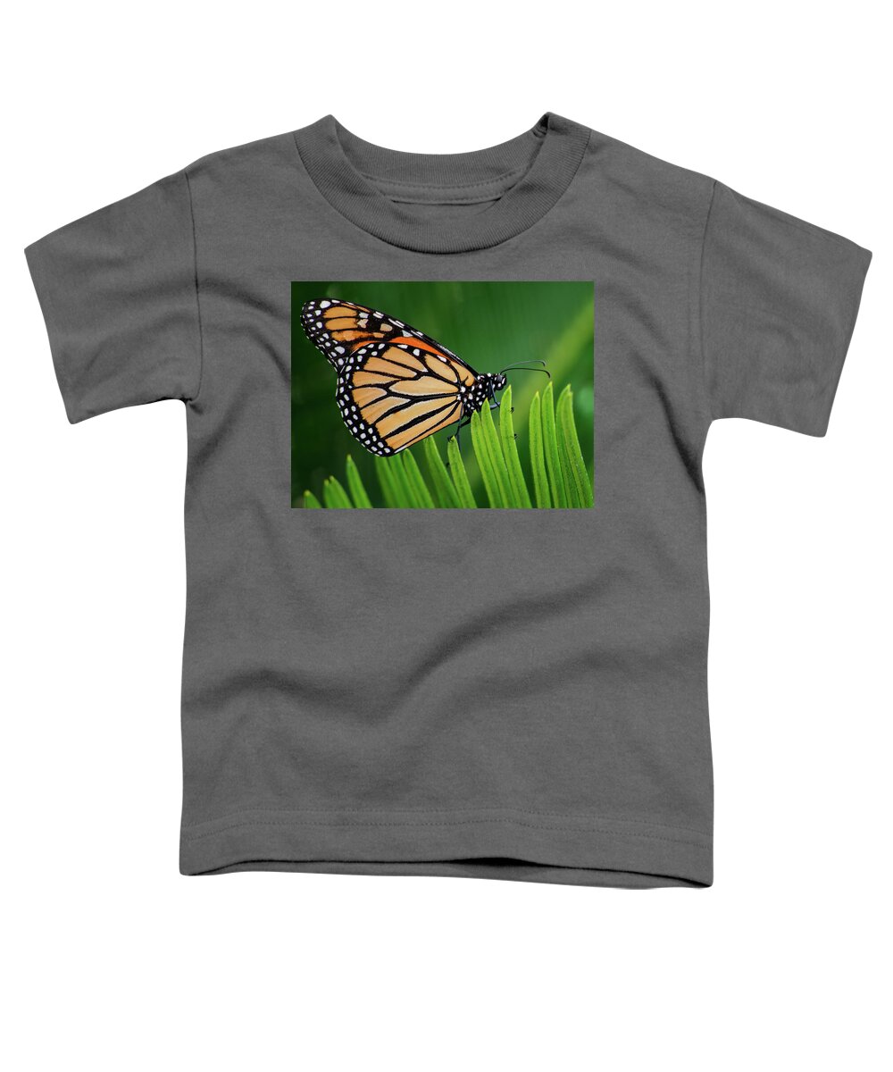 Monarch Toddler T-Shirt featuring the photograph Monarch Butterfly 7642-101417-1cr by Tam Ryan