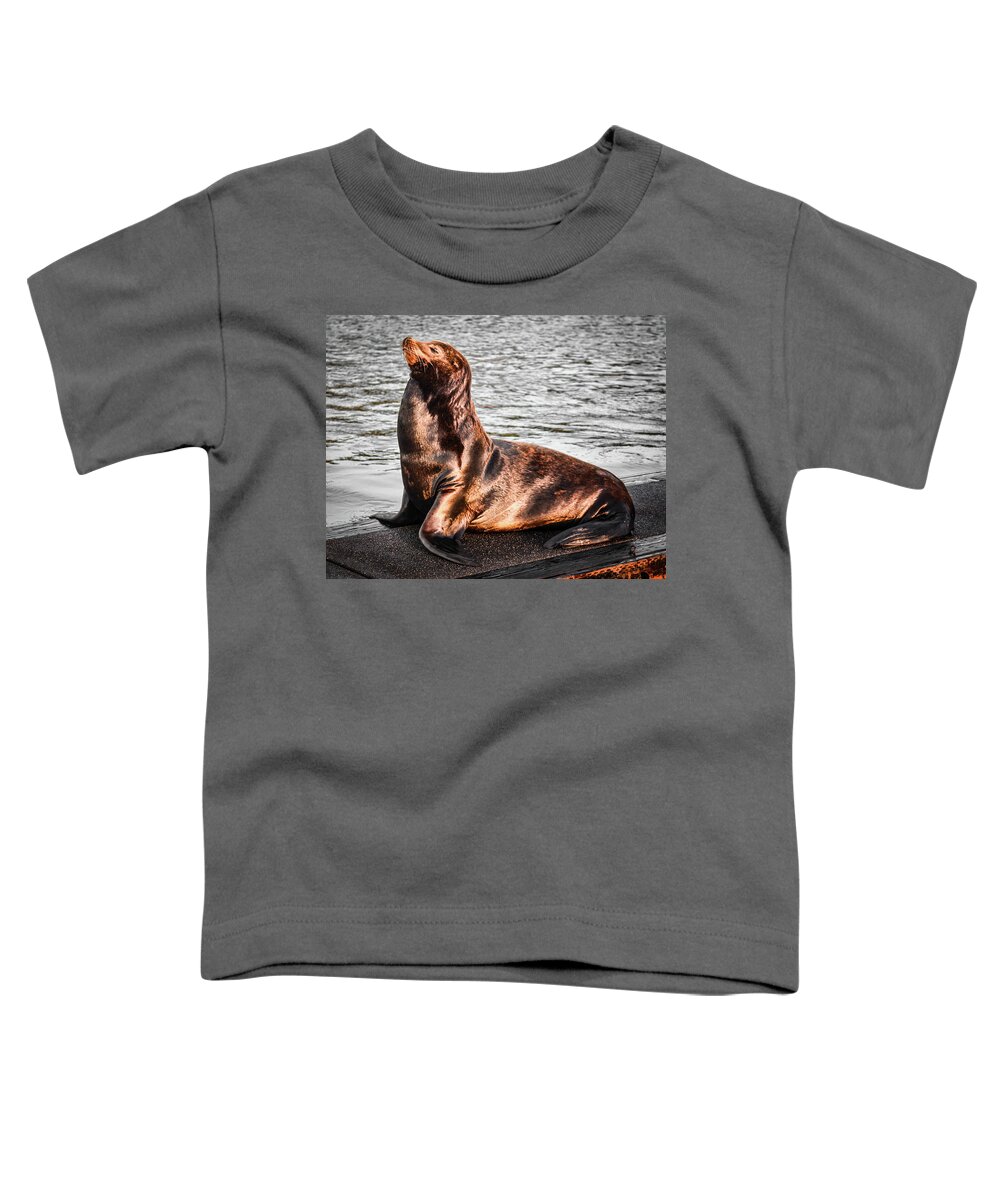 Sealion Toddler T-Shirt featuring the photograph Monarch SeaLion by Jason Brooks