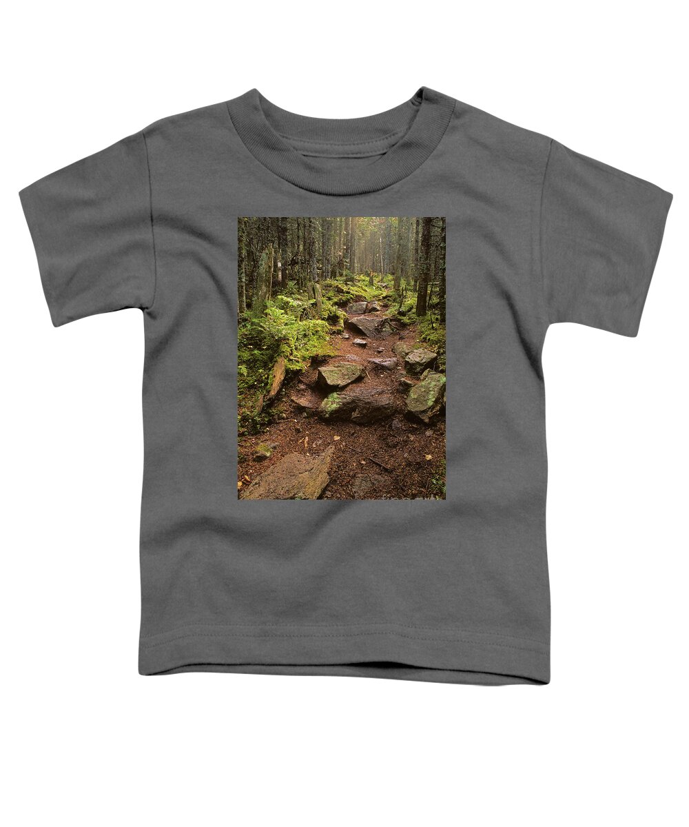 Trail Toddler T-Shirt featuring the photograph Path on Monhegan Island, Maine by Kevin Shields
