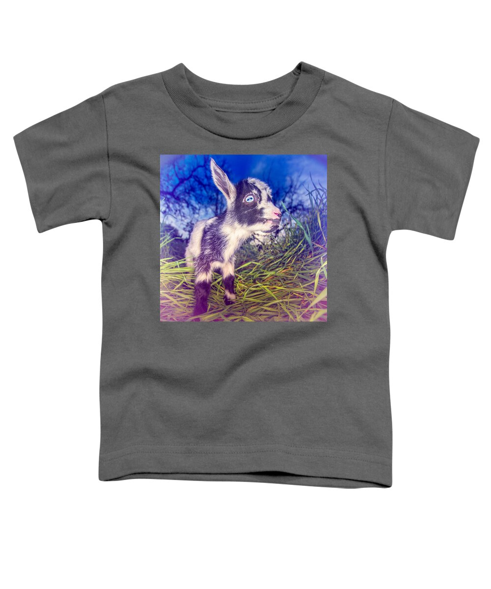 Adorable Toddler T-Shirt featuring the photograph Moo Cow Love Grass by TC Morgan