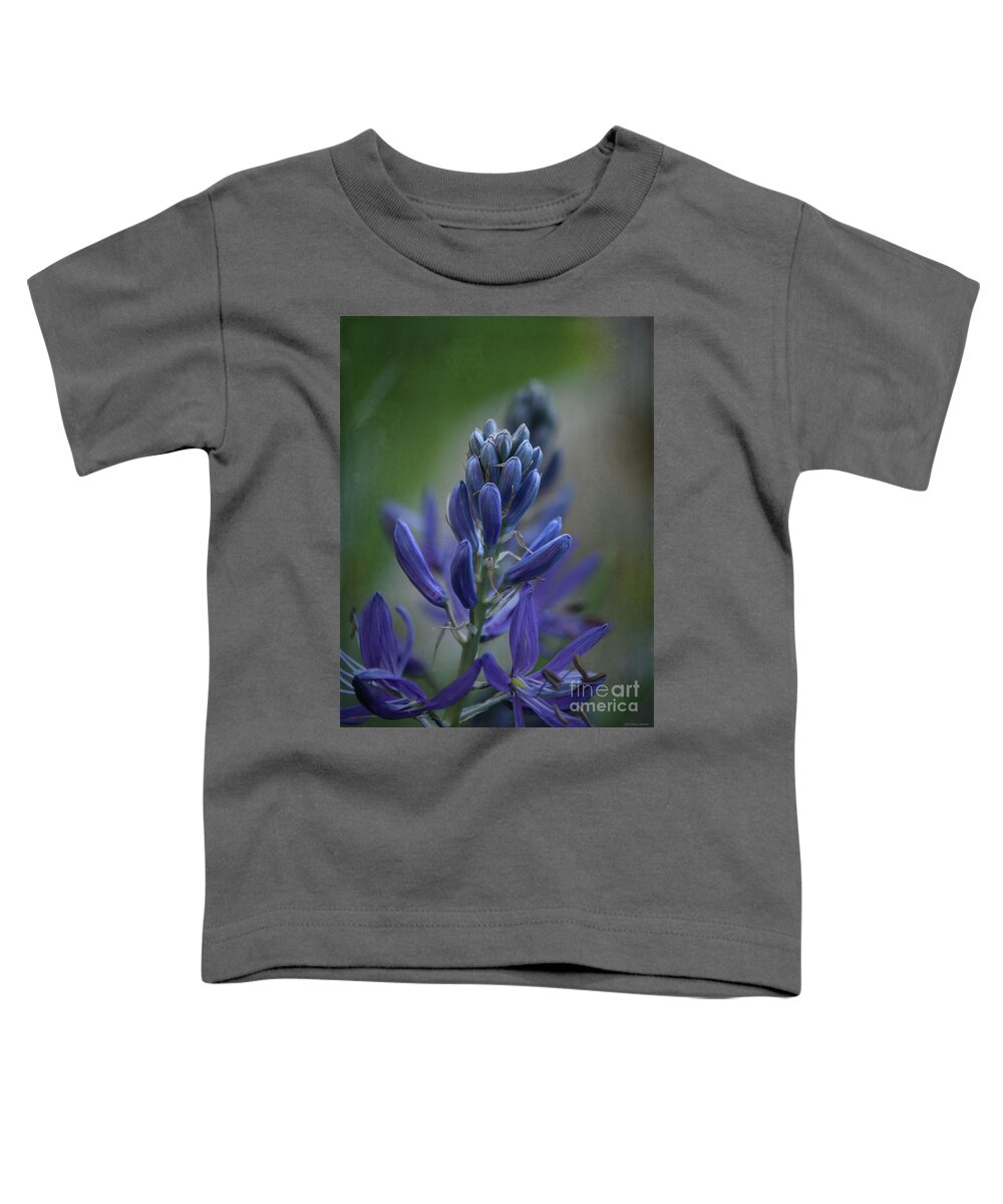 Blue Toddler T-Shirt featuring the photograph Mood Indigo 2 by Mary Machare