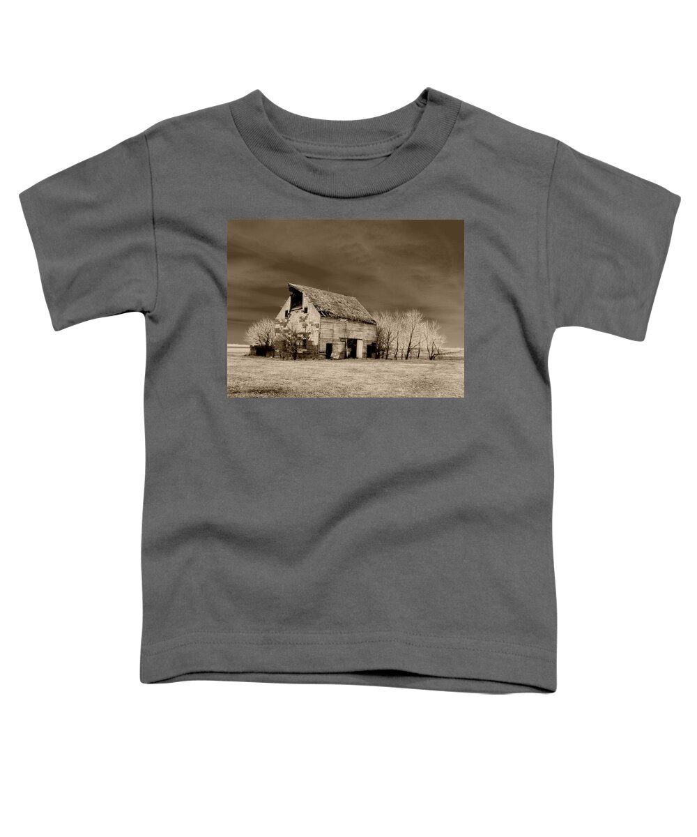Barn Toddler T-Shirt featuring the photograph Moon lit Sepia by Julie Hamilton
