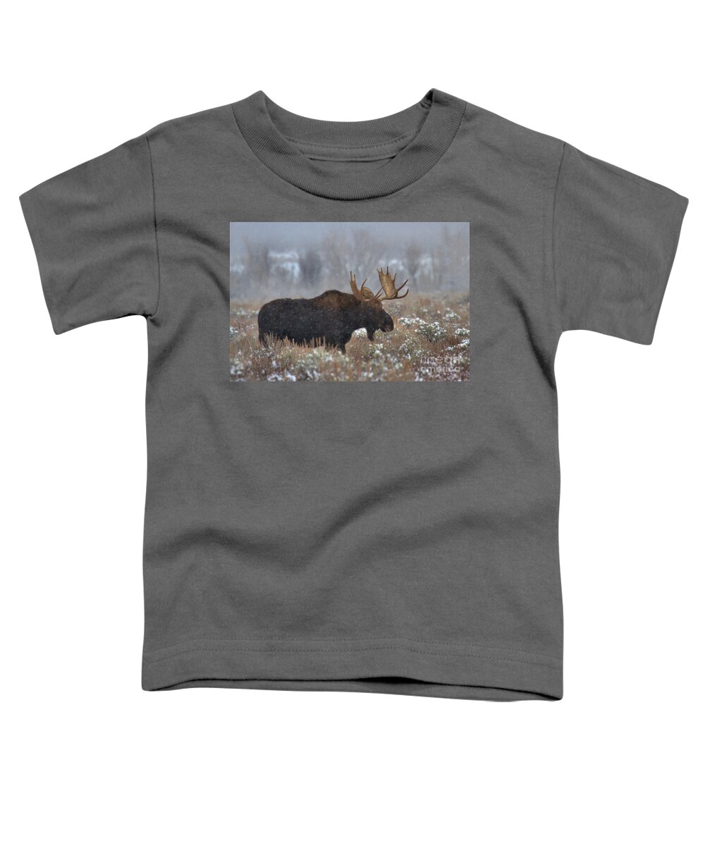 Moose Toddler T-Shirt featuring the photograph Moose In The Fog by Adam Jewell