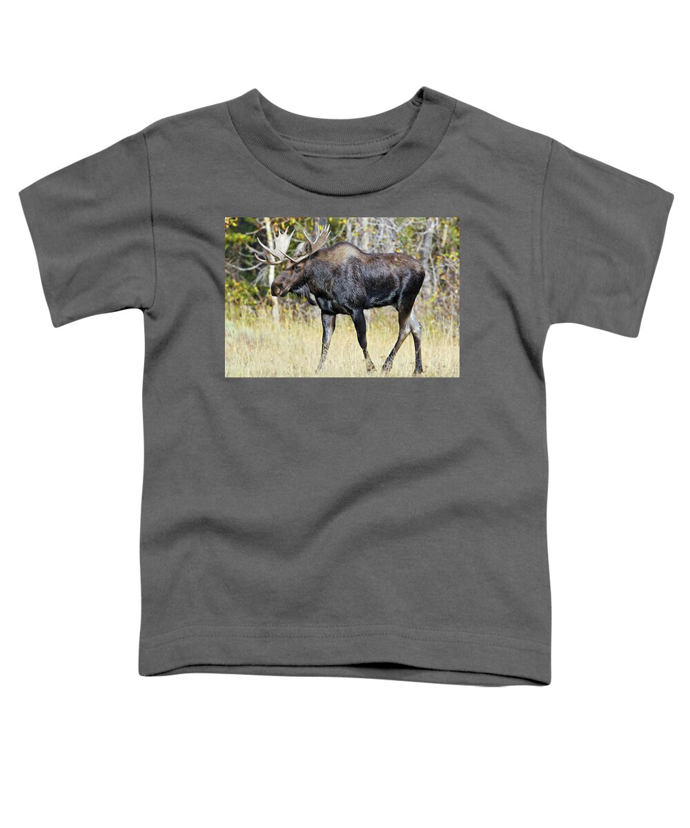 Bull Toddler T-Shirt featuring the photograph Moose on the Move by Wesley Aston