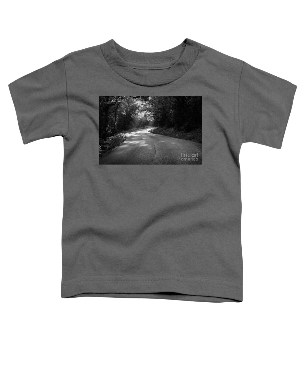 Lake Toddler T-Shirt featuring the photograph Morning Light II by Dennis Hedberg