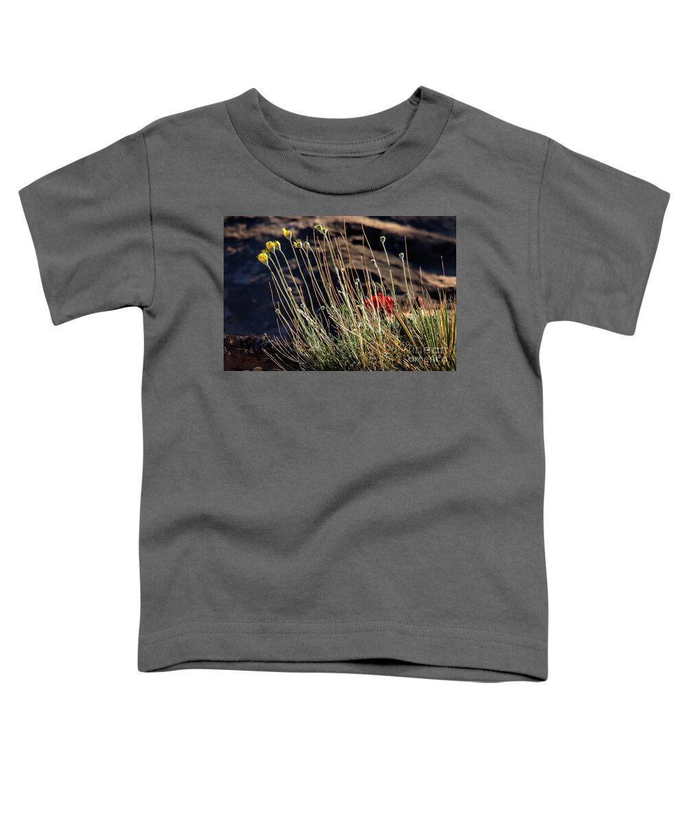 Wildflowers Toddler T-Shirt featuring the photograph Morning Praise by Jim Garrison