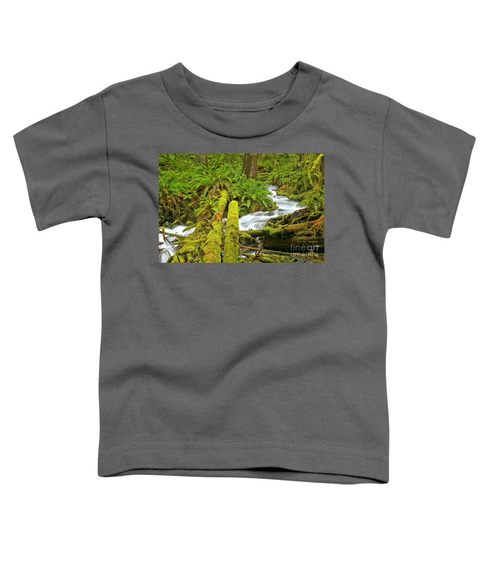 Rainforest Toddler T-Shirt featuring the photograph Mossy Forest Logs by Adam Jewell