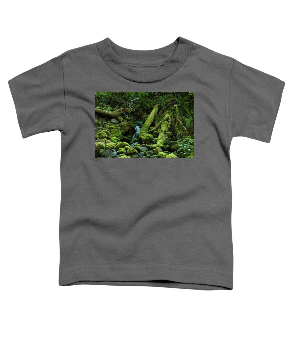 Canyon Trail Toddler T-Shirt featuring the photograph Mossy Stream Bed by Robert Potts