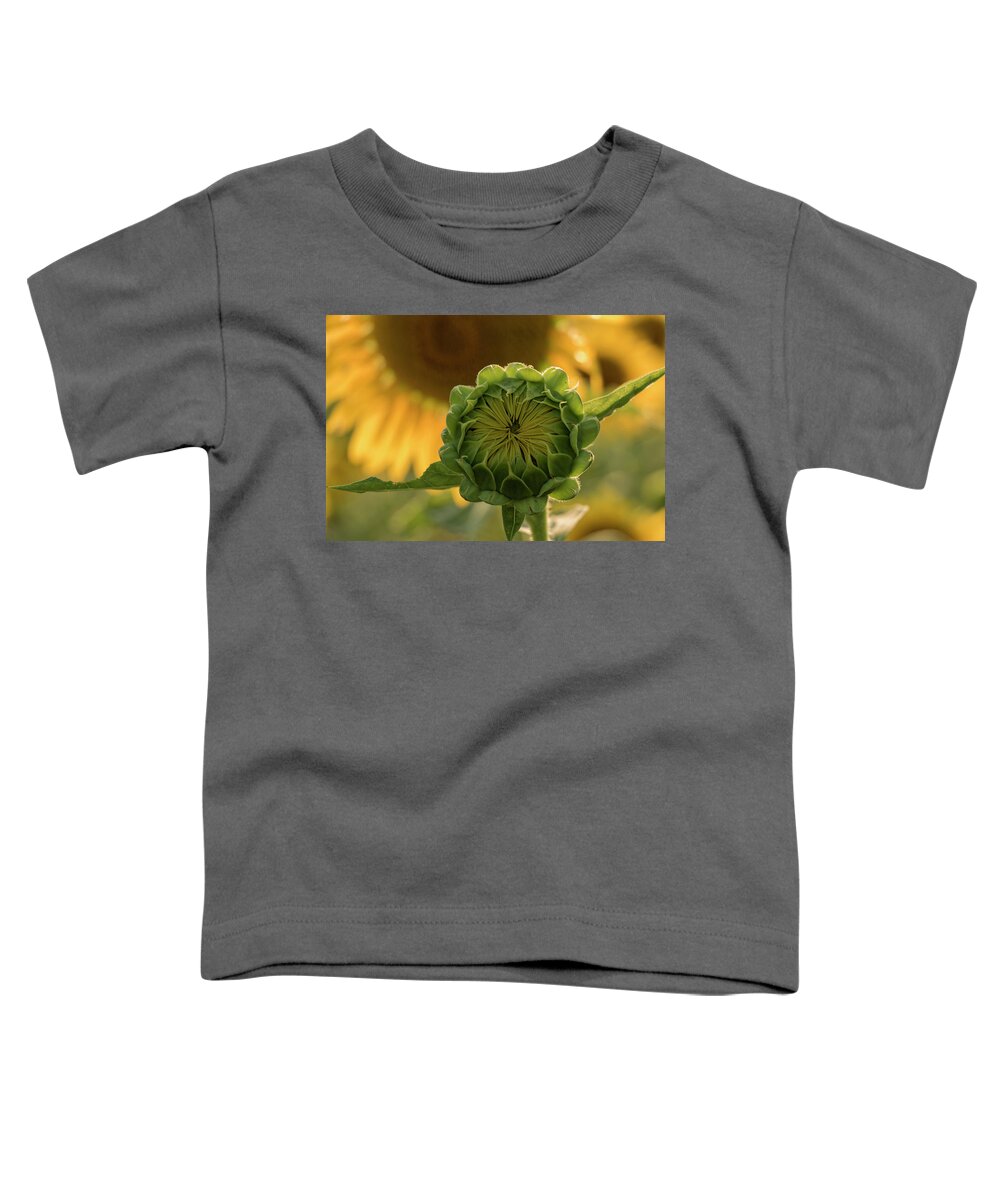Sunflower Toddler T-Shirt featuring the photograph Mother and Child by Holly Ross
