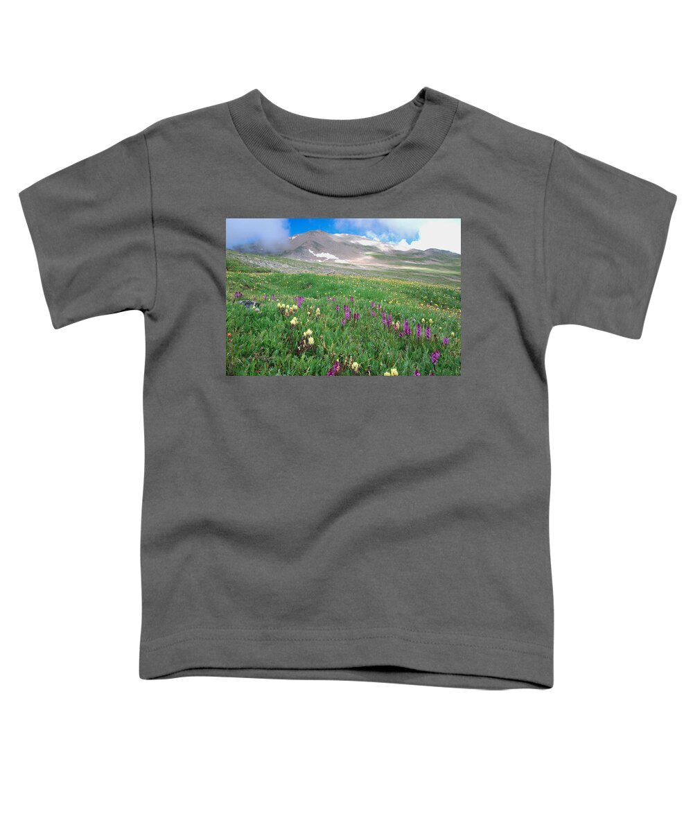 Mount Massive Toddler T-Shirt featuring the photograph Mount Massive in the Clouds by Cascade Colors