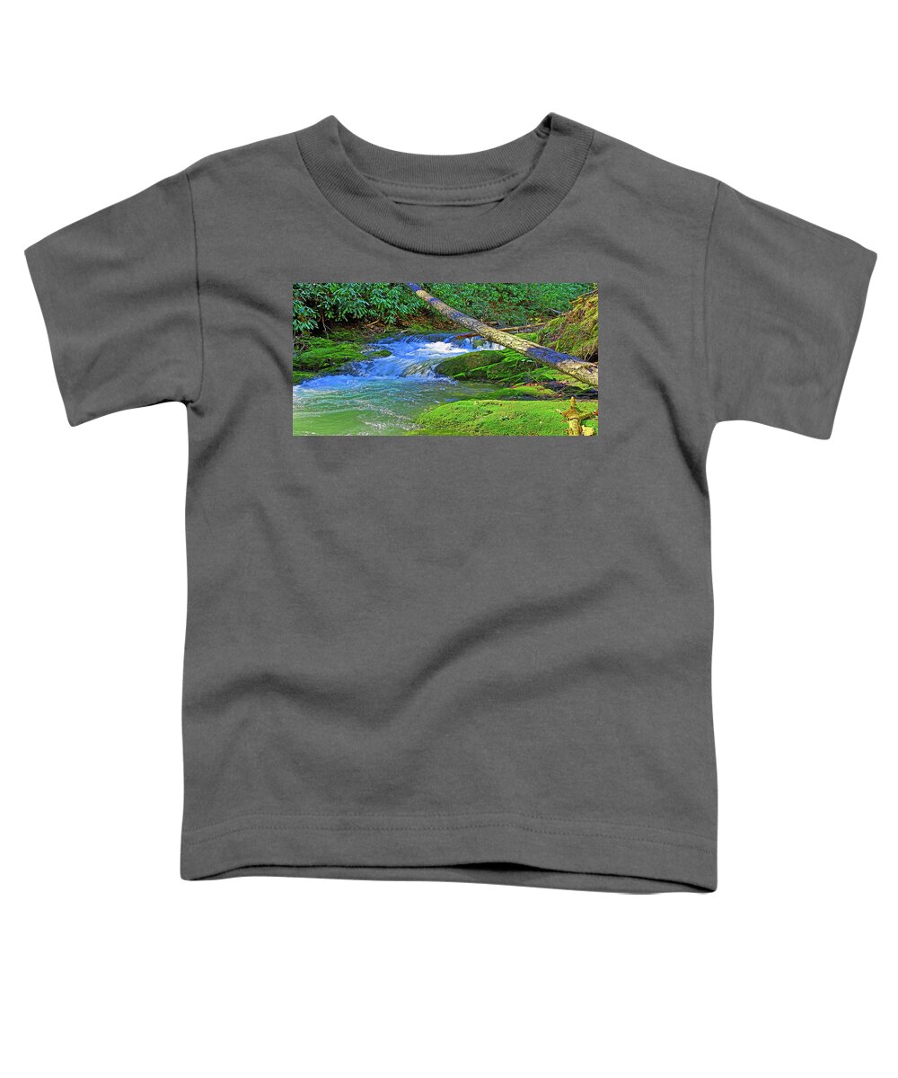 Mountain Stream Toddler T-Shirt featuring the photograph Mountain Appalachian Stream by The James Roney Collection