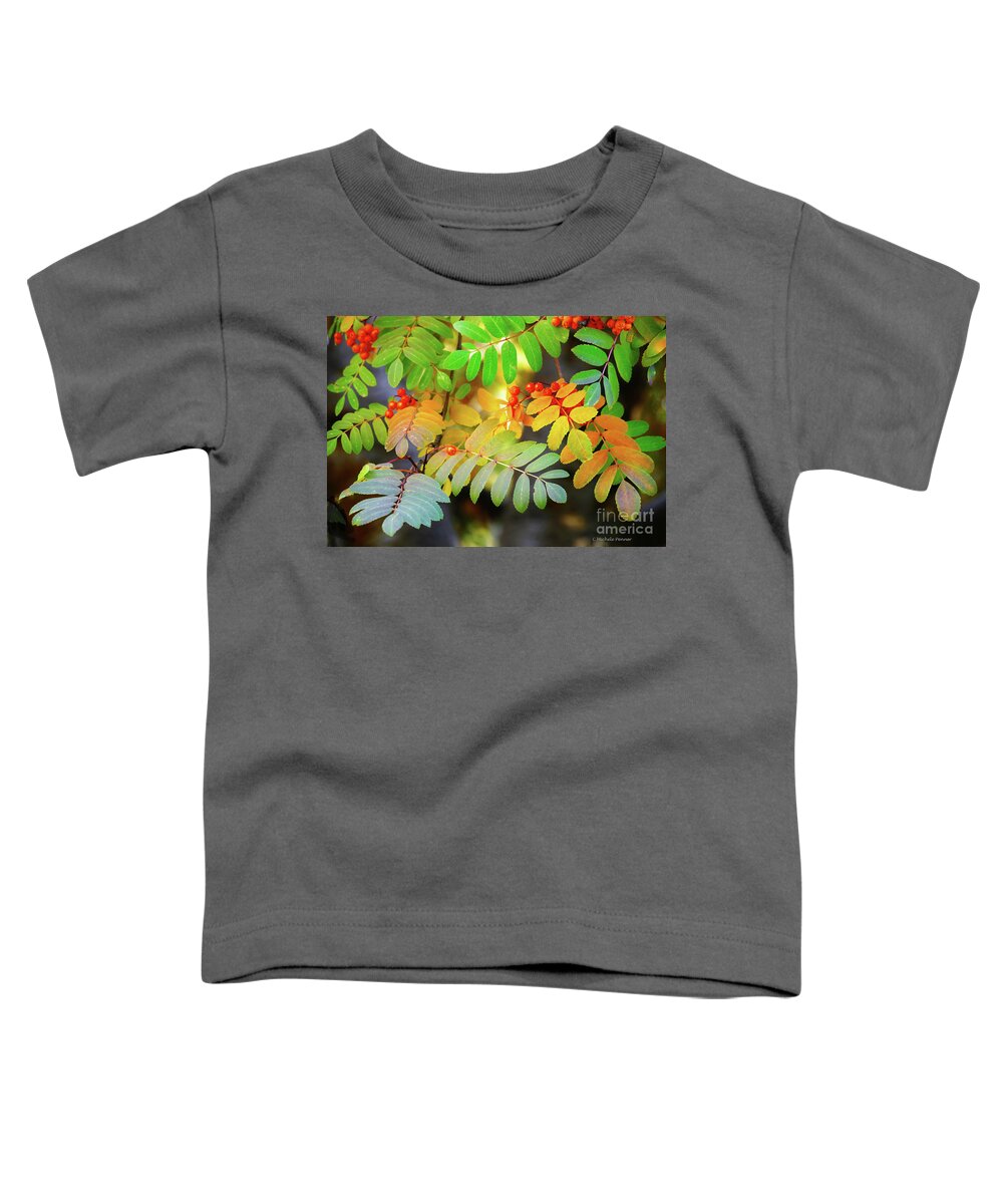 Sorbus Aucuparia Toddler T-Shirt featuring the photograph Mountain Ash Fall Color by Michele Penner