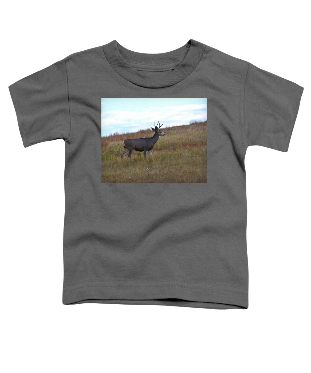 Mountain Climbing Deer Toddler T-Shirt featuring the photograph Mountain Climbing Deer by Kathy M Krause