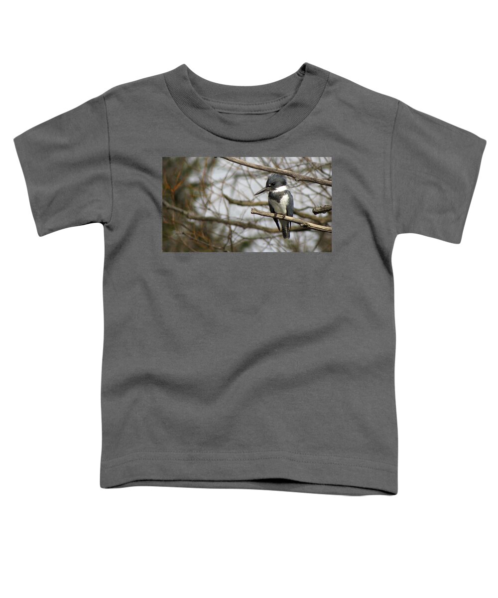 Belted Kingfisher Toddler T-Shirt featuring the photograph Mr. Kingfisher by Kimberly Mackowski