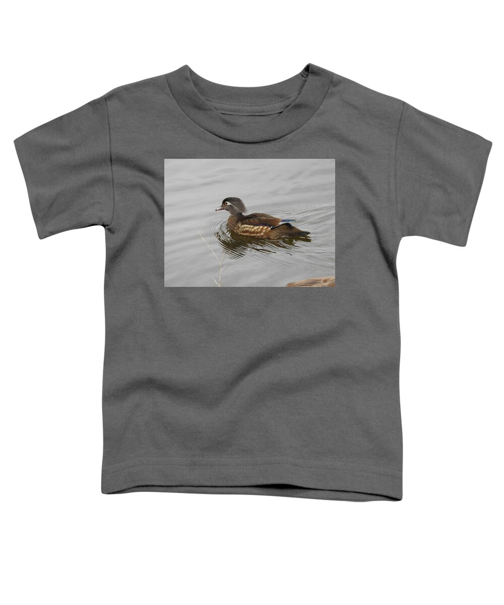 Wood Duck Toddler T-Shirt featuring the photograph Mrs. Wood Duck by Betty-Anne McDonald