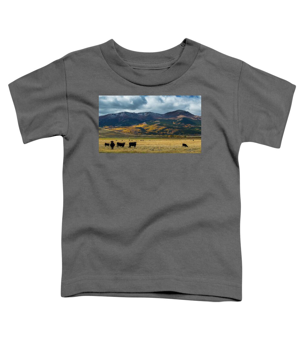 Mtelbert Toddler T-Shirt featuring the photograph Mt. Elbert by Stephen Holst