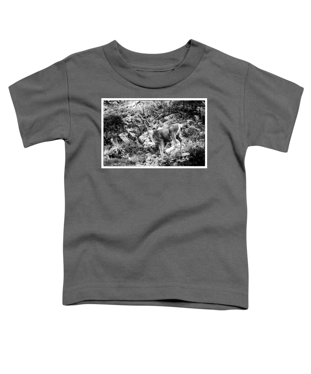 Deer Toddler T-Shirt featuring the photograph Mule Deer Buck by Lawrence Knutsson