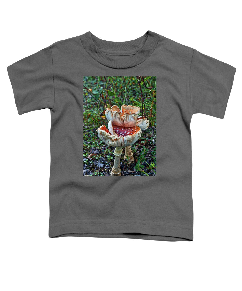 Mushroom Toddler T-Shirt featuring the photograph Mushroom Gills by Cathy Mahnke