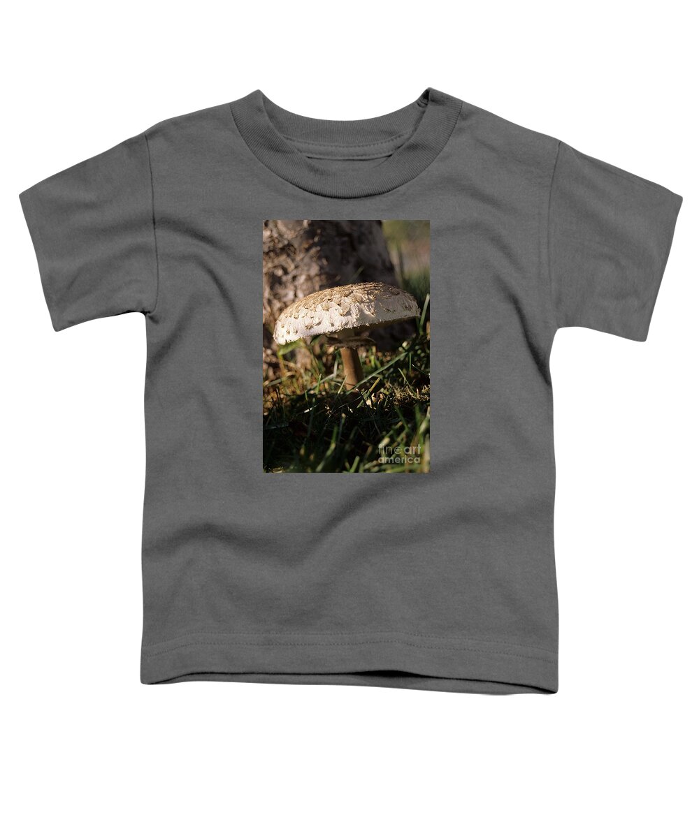 Mushroom Toddler T-Shirt featuring the photograph Mushroom I by Sharon Elliott