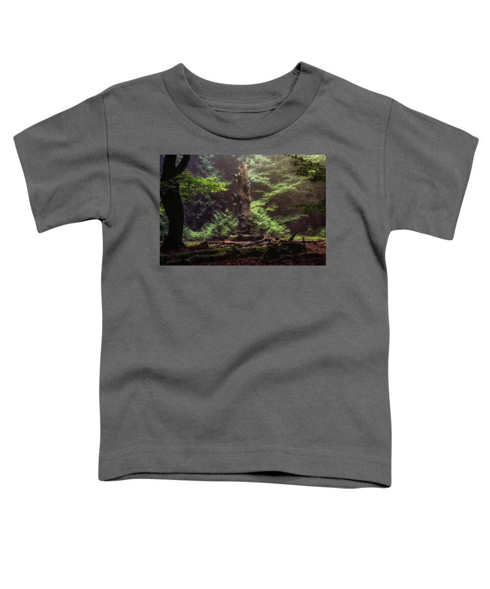 Autumn Toddler T-Shirt featuring the photograph Mushroom tree by Tim Abeln