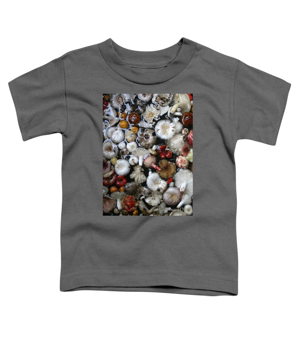 Art Toddler T-Shirt featuring the painting Mushrooms in Thailand by Jeremy Holton