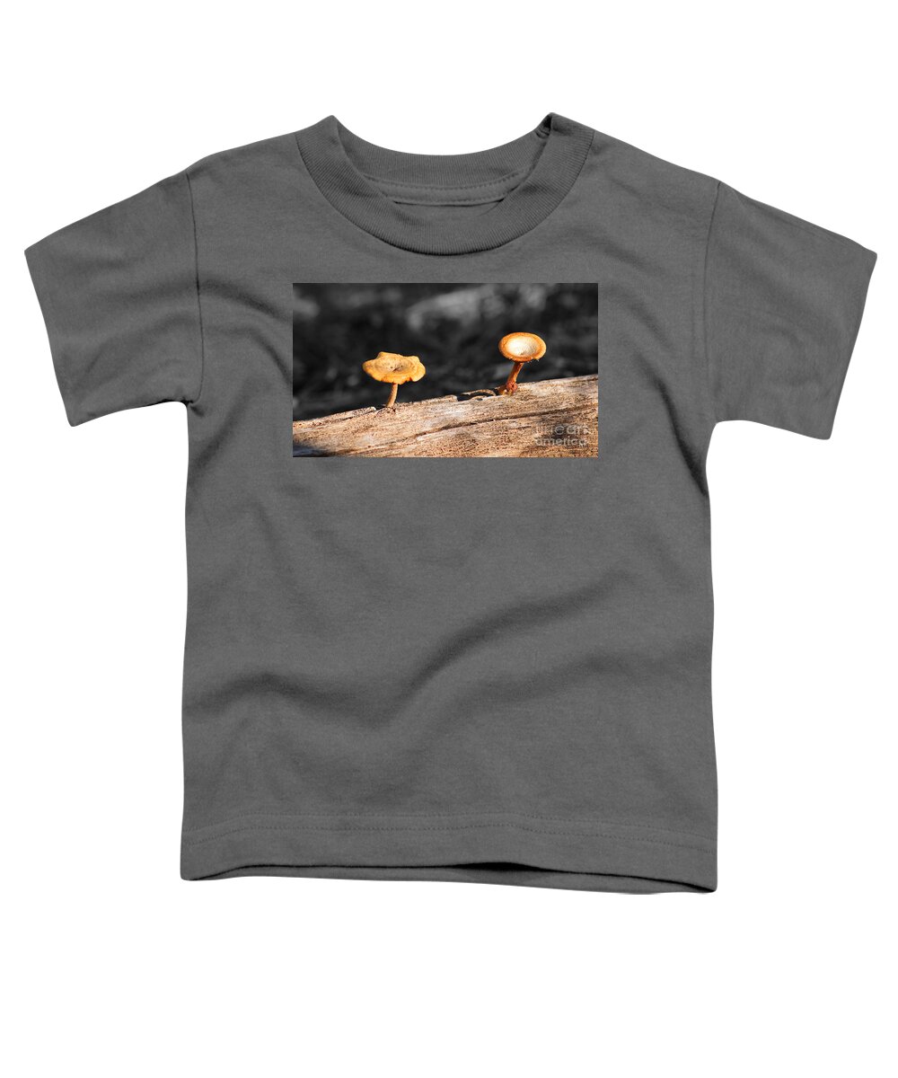 Fine Art Toddler T-Shirt featuring the photograph Mushrooms on a Branch by Donna Greene