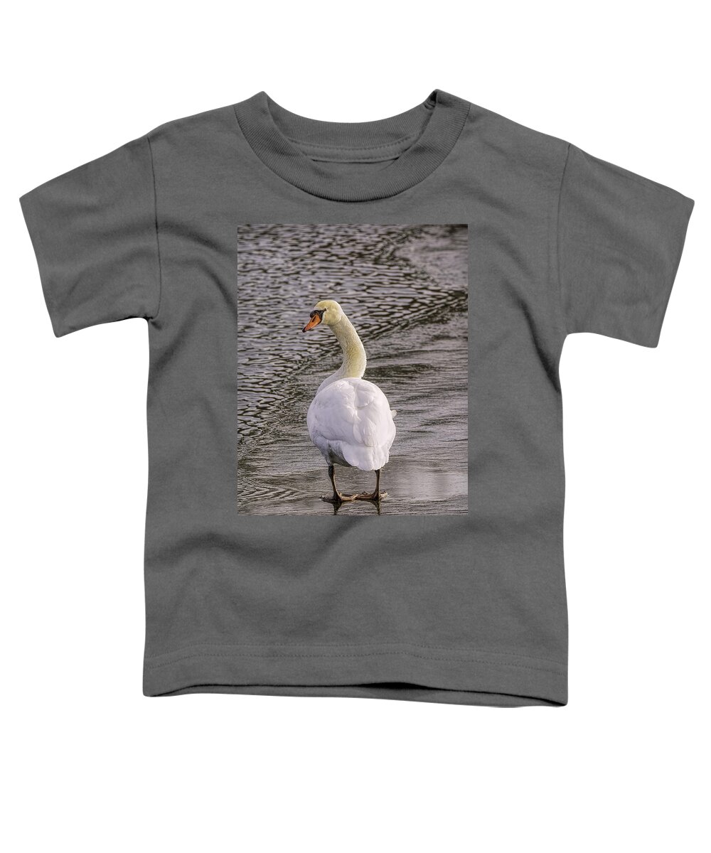 Swan Toddler T-Shirt featuring the photograph Mute Swan by LeeAnn McLaneGoetz McLaneGoetzStudioLLCcom
