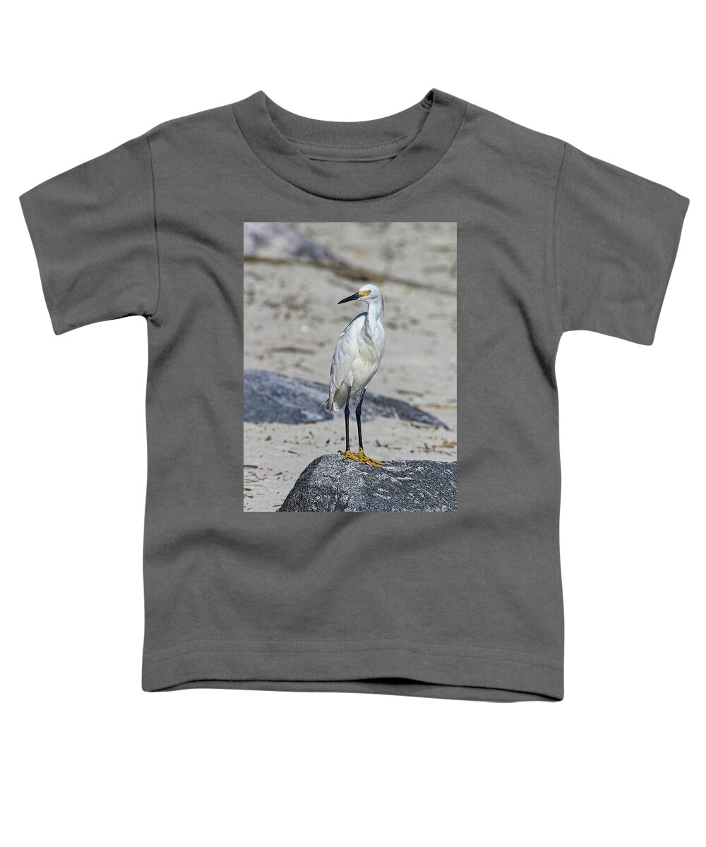 Egret Toddler T-Shirt featuring the photograph My Beach Pose by Deborah Benoit
