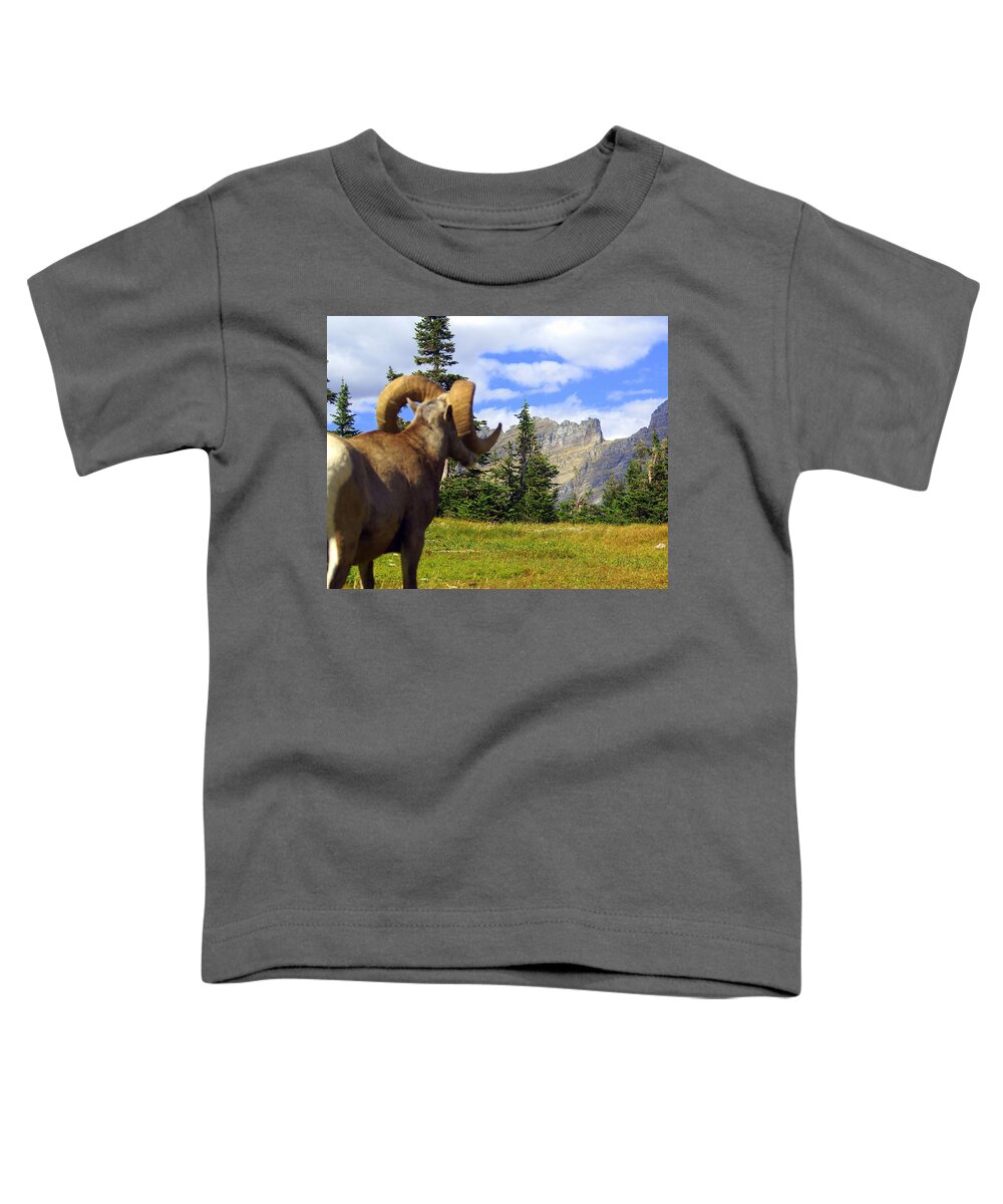 Glacier National Park Toddler T-Shirt featuring the photograph My Kingdom by Marty Koch