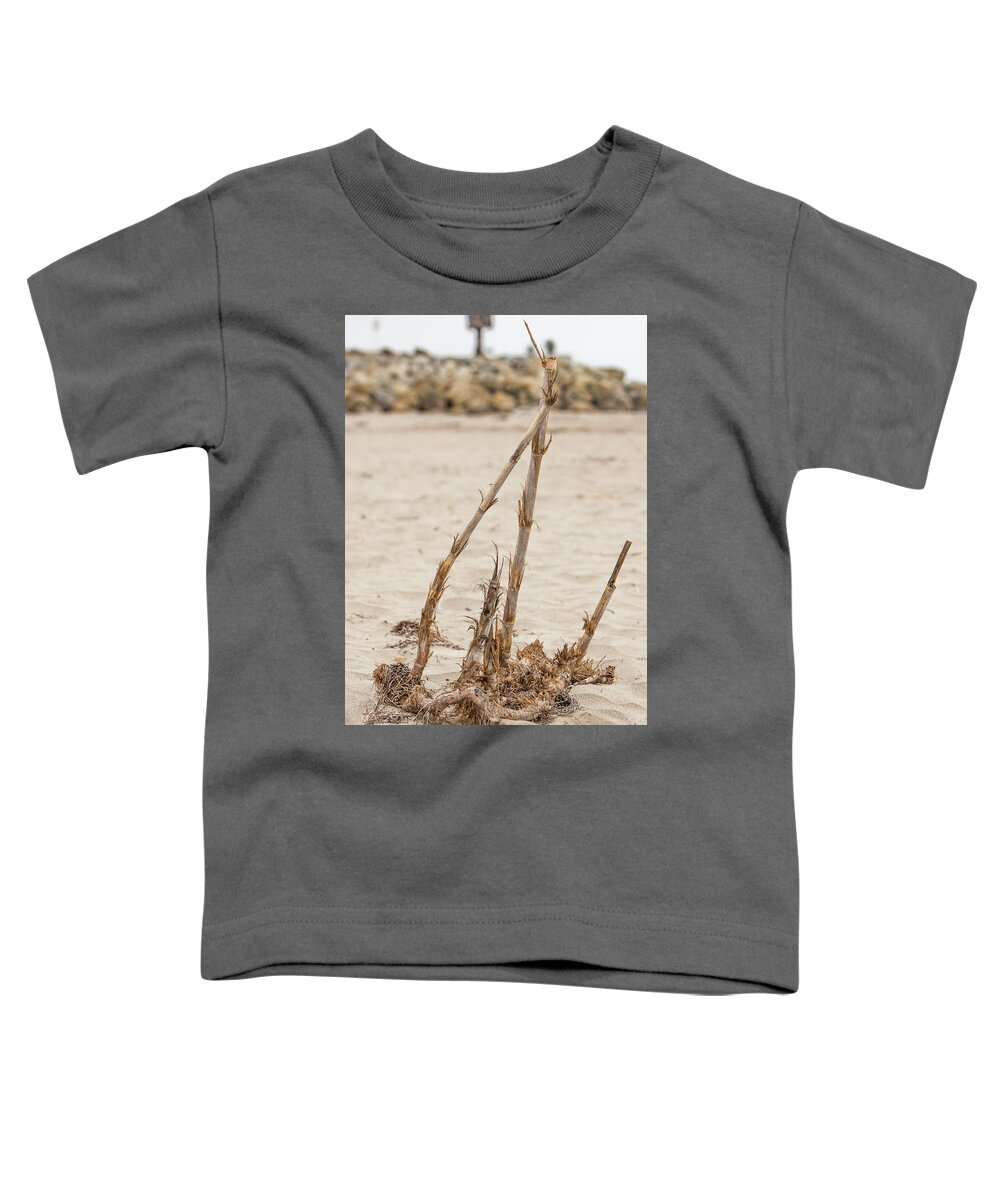 Sea Toddler T-Shirt featuring the photograph Natures beach art by Jason Hughes