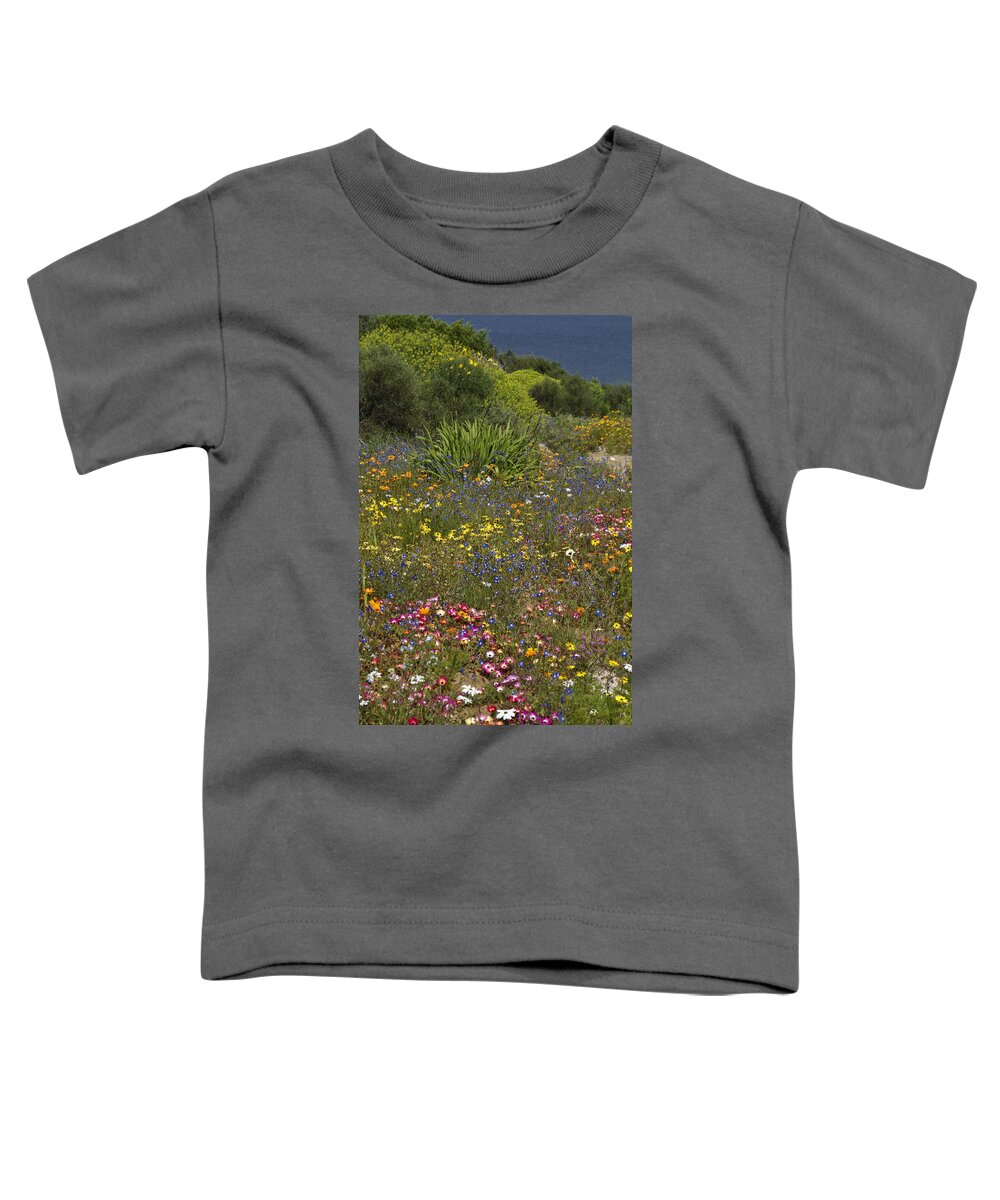 South Africa Toddler T-Shirt featuring the photograph Nature's Bounty by Michele Burgess