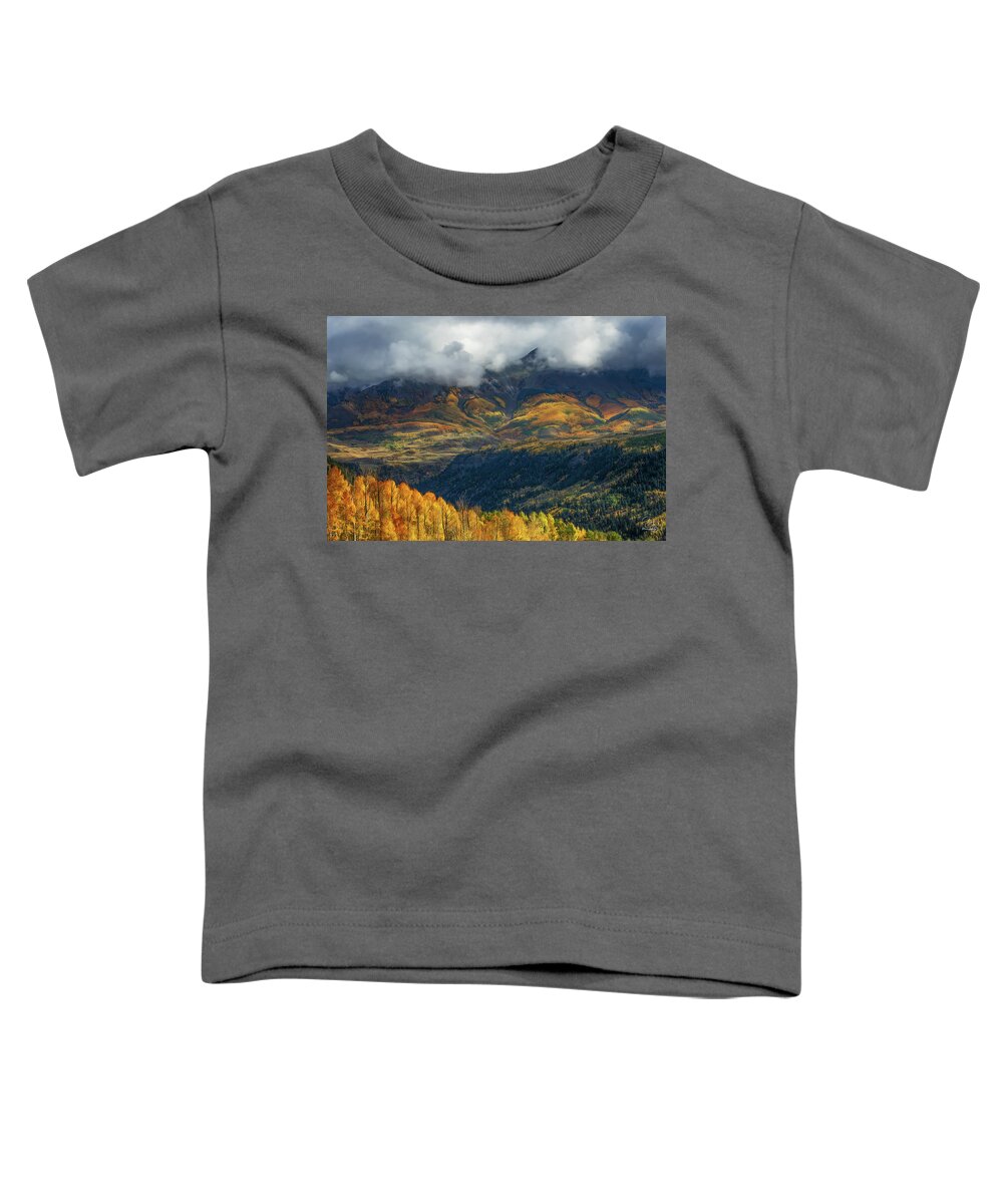 Colorado Toddler T-Shirt featuring the photograph Nature's Quilt by Debra Boucher