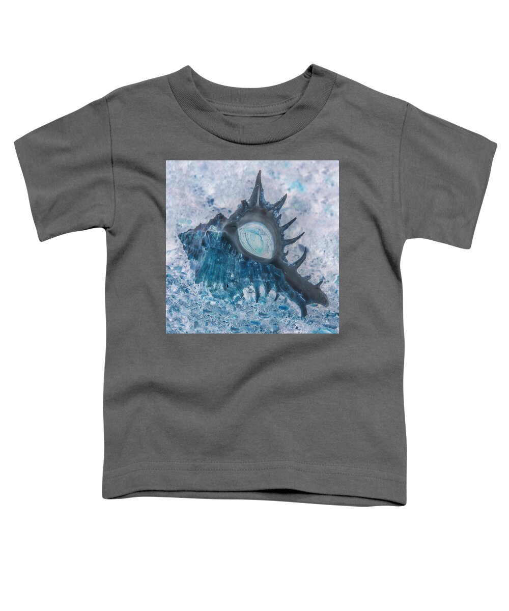 Florida Toddler T-Shirt featuring the photograph Nautical Beach and Fish #13 by Debra and Dave Vanderlaan