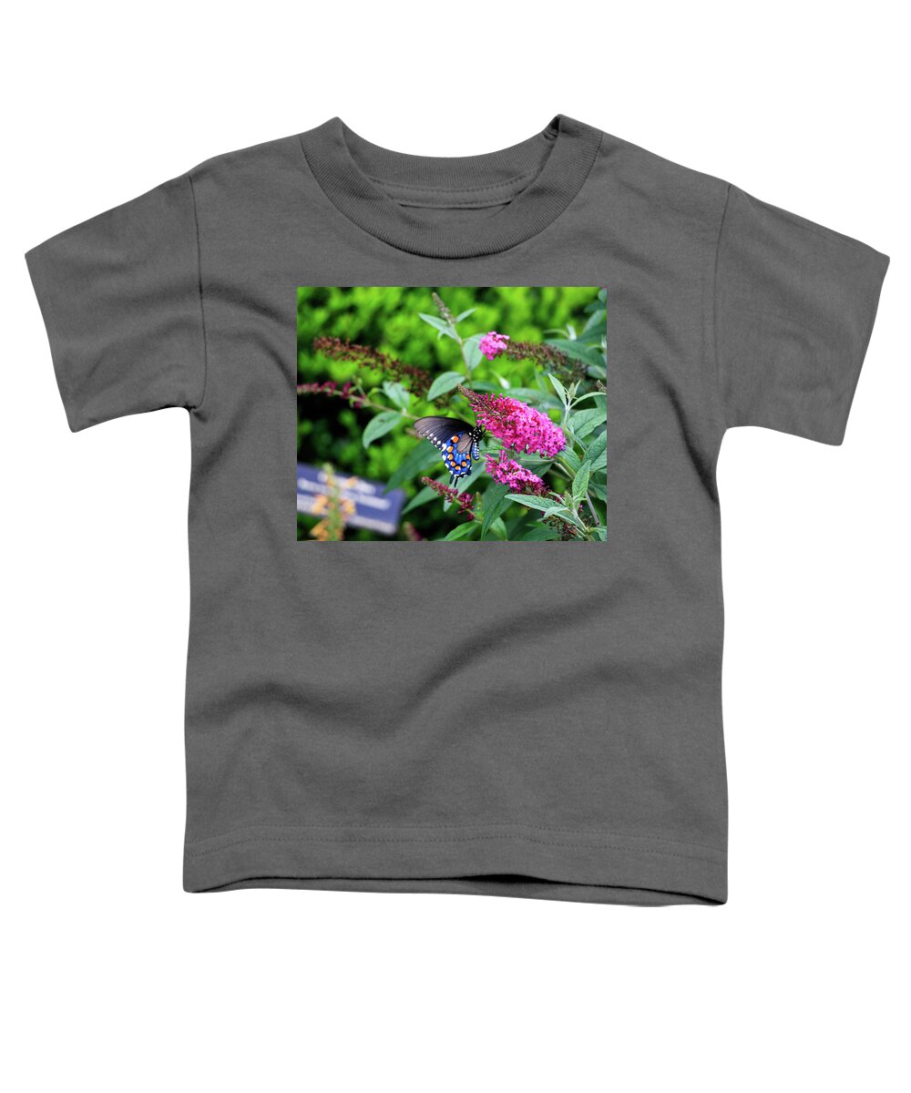 Butterfly Toddler T-Shirt featuring the photograph NC Arboretum Butterflies 1 by Matt Sexton
