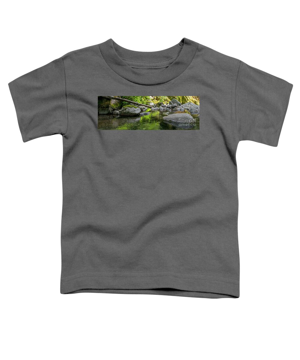 Waterfalls Toddler T-Shirt featuring the photograph Nckel Creek Pano 1031 by Chuck Flewelling