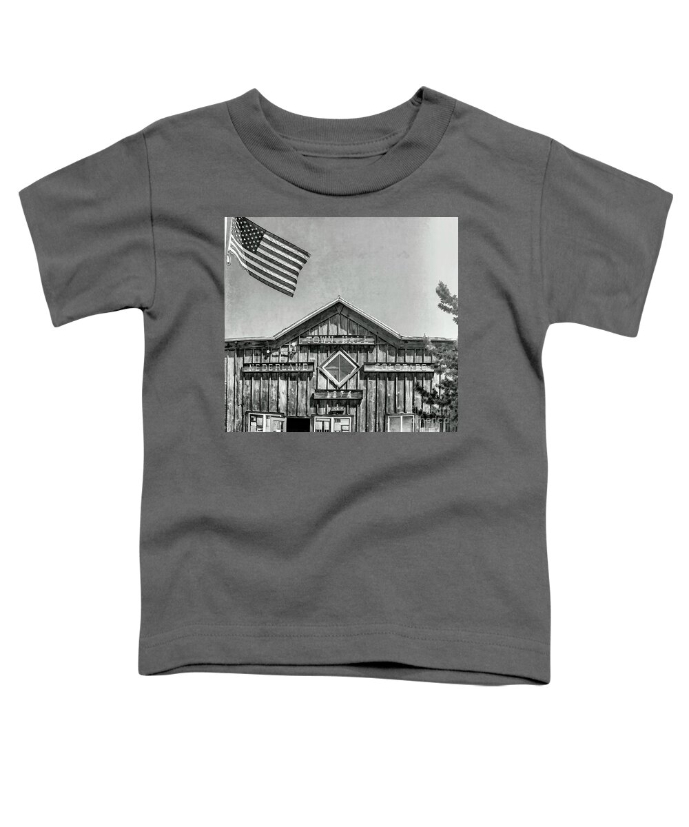 Nederland Town Hall Toddler T-Shirt featuring the photograph Nederland Colorado Town Hall by David Oppenheimer