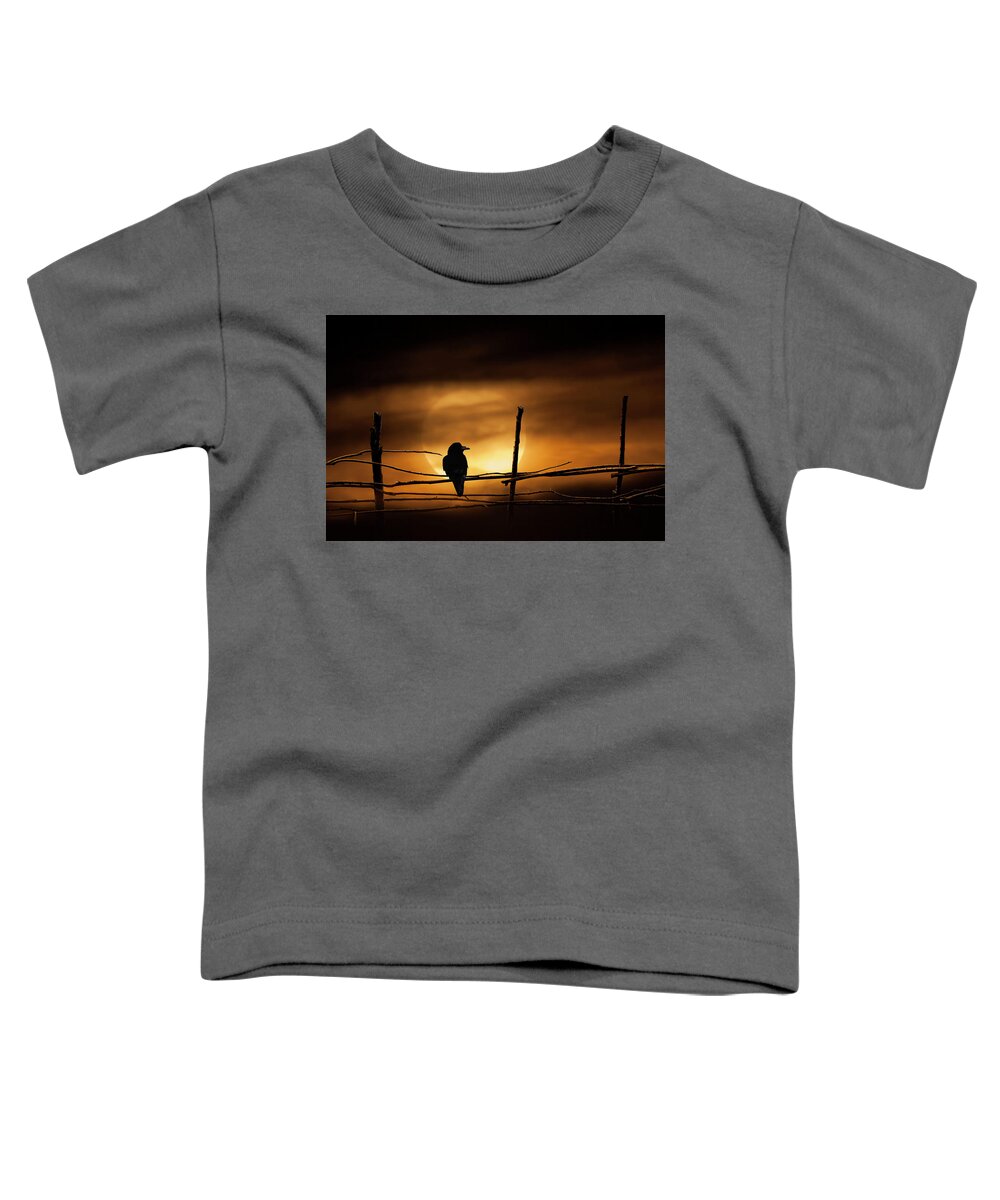 Art Toddler T-Shirt featuring the photograph Never More Quoth The Raven by Randall Nyhof