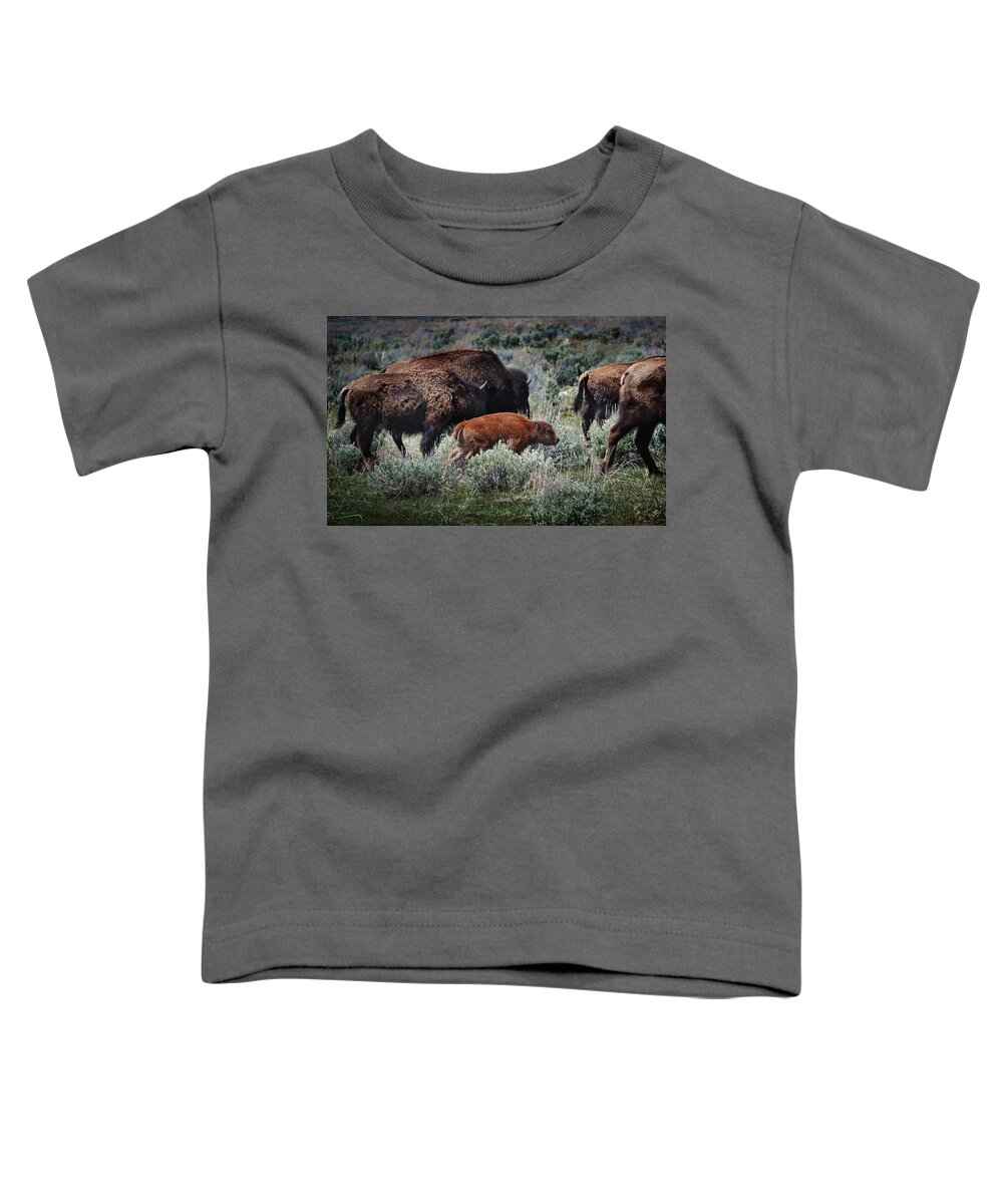 Animals Toddler T-Shirt featuring the photograph New life on the prairie by John Christopher