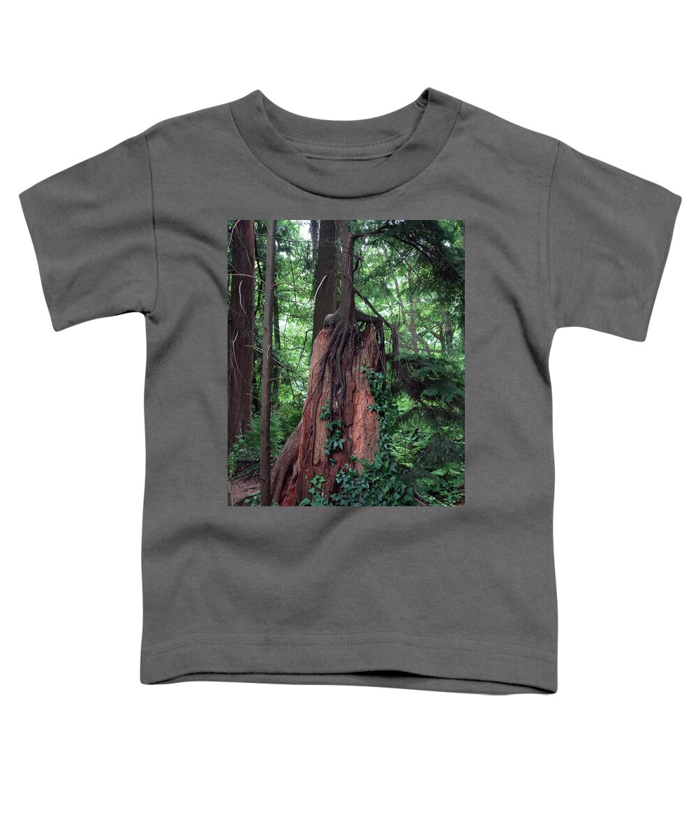 Park Toddler T-Shirt featuring the photograph New Life out of Old by David T Wilkinson
