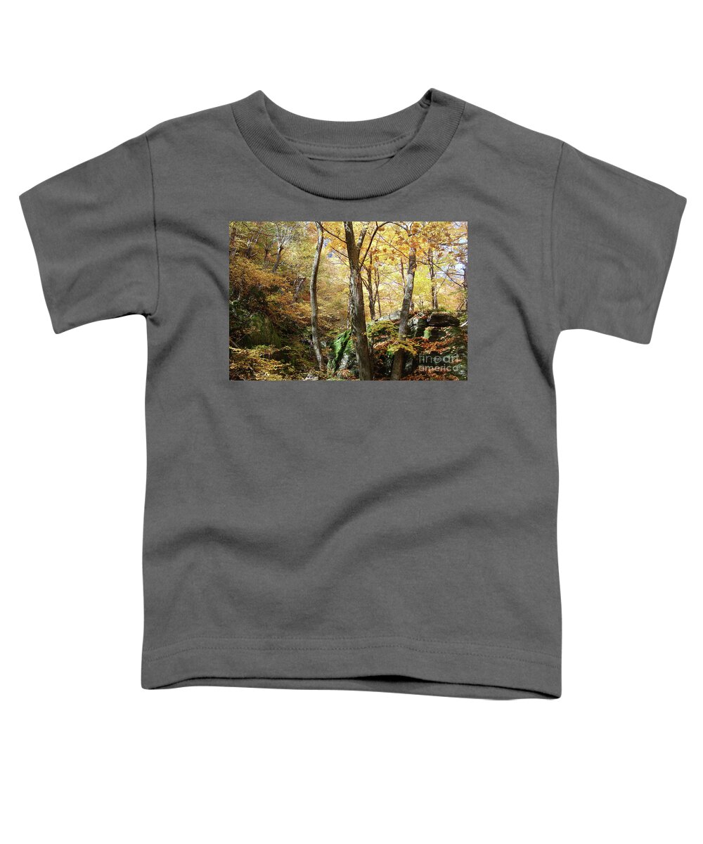 Fall Colors Toddler T-Shirt featuring the photograph Niche in Smuggler's Notch by Felipe Adan Lerma