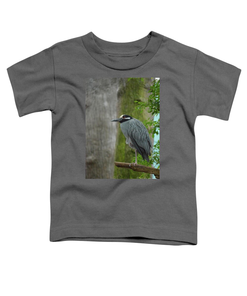 Bird Toddler T-Shirt featuring the photograph Night Heron Standing on One Leg on a Tree Branch by DejaVu Designs
