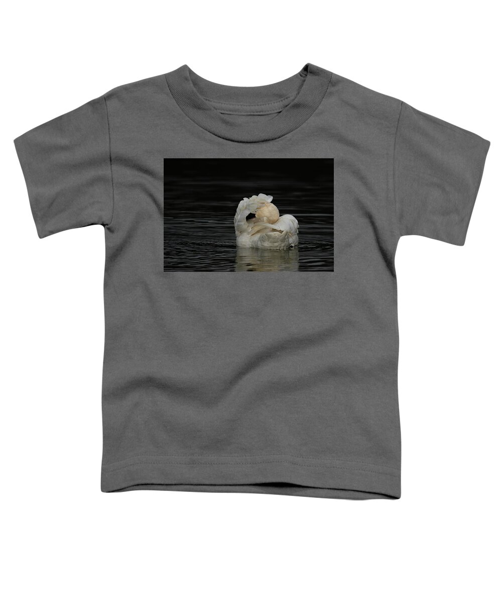 Trumpeter Swan Toddler T-Shirt featuring the photograph No Pictures Please by Eilish Palmer