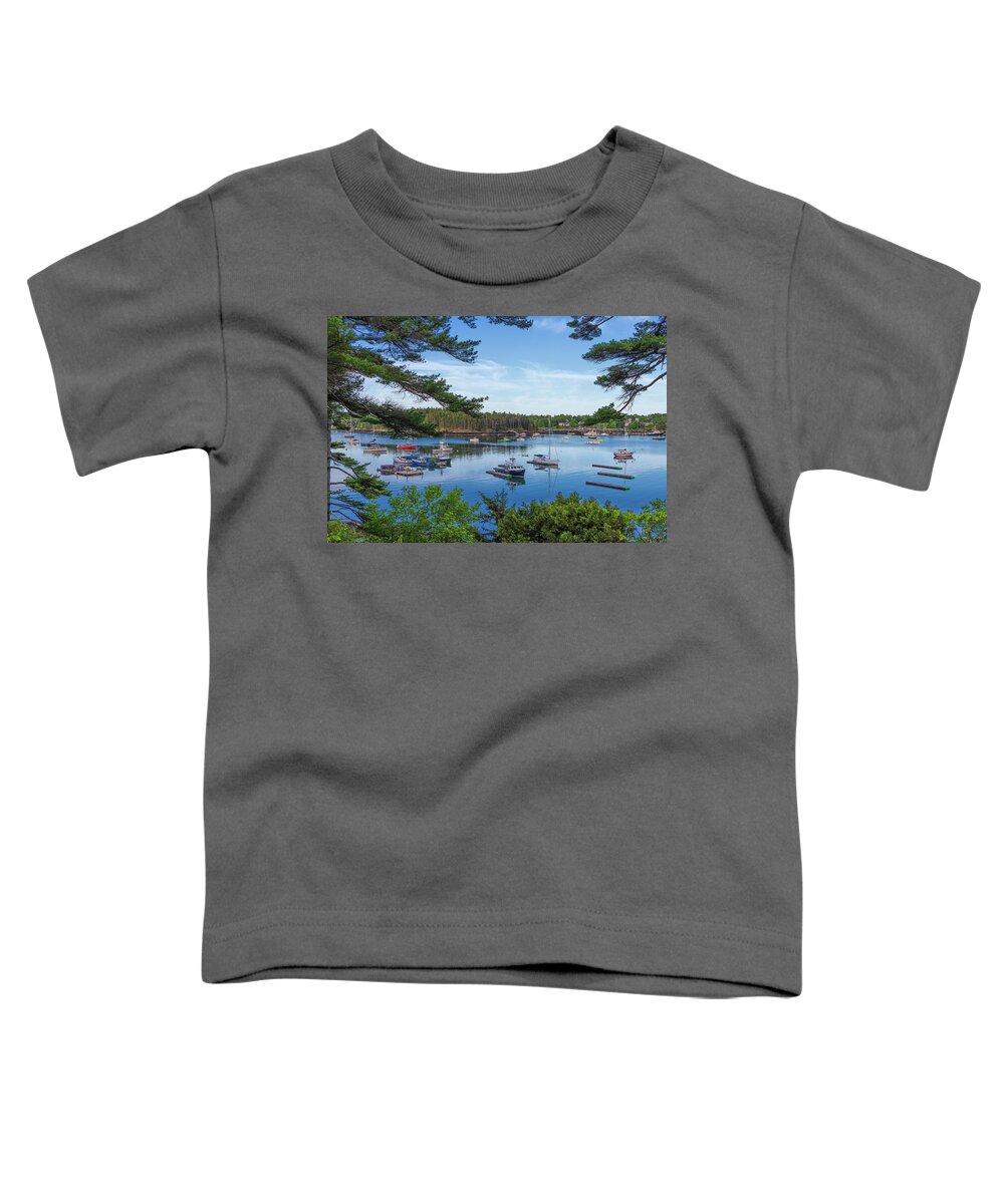 Maine Toddler T-Shirt featuring the photograph Northeast Harbor #1 by Dennis Kowalewski